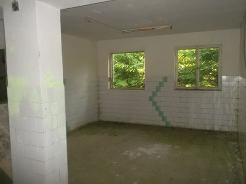 Foto 133